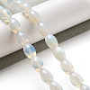 Opalite Beads Strands G-B106-B03-01-2