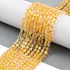 Electroplate Glass Beads Strands EGLA-D031-01Q-1