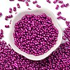 Baking Paint Glass Seed Beads SEED-L011-12A-07-2