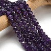 Natural Amethyst Beads Strands G-Z111-A08-02-1