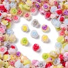 Luminous Resin Decoden Cabochons RESI-Z032-05B-2