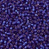MIYUKI Delica Beads SEED-X0054-DB0696-3