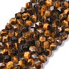 Faceted Natural Tiger Eye Beads Strands G-K066-01-10mm-2