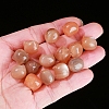 Natural Peach Moonstone Cat Head Beads PW-WGFCF6D-01-3