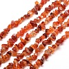 Natural Agate Chip Bead Strands G-M205-47-1