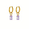 304 Stainless Steel Hoop Earrings AY4063-3-1