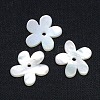 Natural White Shell Beads X-SSHEL-I008-03-1