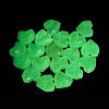 Luminous Transparent Acrylic Beads LACR-S001-14B-3