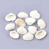 Spiral Shell Charms X-SSHEL-S251-14-1