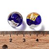 Handmade Lampwork Beads LAMP-H065-01J-4