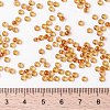 MIYUKI Round Rocailles Beads X-SEED-G008-RR0377-2