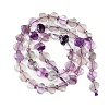 Natural Colorful Fluorite Beads Strands G-G182-F01-01-3