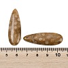 Natural Fossil Coral Pendants G-B187-01C-05-3