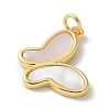 Natural White Shell Pendants KK-P292-13G-2