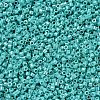 MIYUKI Delica Beads SEED-MY11-DB0166-2