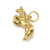 304 Stainless Steel Pendants STAS-P391-01L-G-2