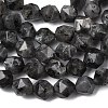 Natural Larvikite Beads Strands G-Z119-A32-02-5