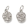 Brass Micro Pave Clear Cubic Zirconia Charms ZIRC-B002-66-2