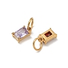 304 Stainless Steel Pave Cubic Zirconia Charms CU-CBABCF3-01G-2