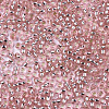 Glass Seed Beads SEED-S042-04A-04-3