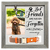 MDF Pet Photo Frames DIY-WH0525-011-1