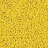 MIYUKI Delica Beads SEED-MY11-DB2284-2
