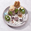 Gorgecraft Resin Succulent Micro Landscape Dollhouse Ornaments DJEW-GF0001-58-5