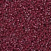 MIYUKI Delica Beads SEED-MY11-DB0654-3