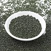 MIYUKI Round Rocailles Beads X-SEED-G007-RR0459-2
