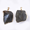 Electroplate Natural Labradorite Pendants G-T112-13B-2