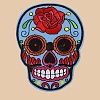 Skull Computerized Embroidery Cloth Sew on Patches PW-WG37707-05-1