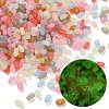 Luminous Transparent Acrylic Beads LACR-D009-01E-1