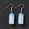 Gemstone Cylindrical Dangle Earrings EJEW-D188-01P-3