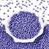 Baking Paint Pearlized Glass Seed Beads SEED-T007-21A-16-1