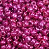 6/0 Glass Seed Beads E06900F4-1