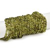 Natural Peridot Beads Strands G-P332-48-02-1