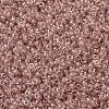 MIYUKI Round Rocailles Beads X-SEED-G009-RRHB279-3