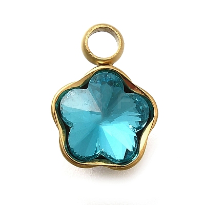 304 Stainless Steel Pendants STAS-Q346-02G-03-1