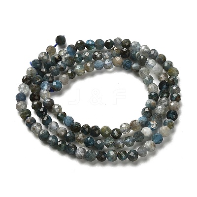 Natural Apatite Beads Strands G-RM2025-A18-3mm-B-1