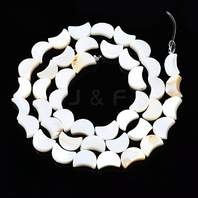Natural Freshwater Shell Beads Strands X-SHEL-N026-151-1