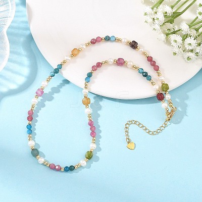 Gemstone & Natural Cultured Freshwater Pearl Beads Necklaces for Women NJEW-JN06518-01-1