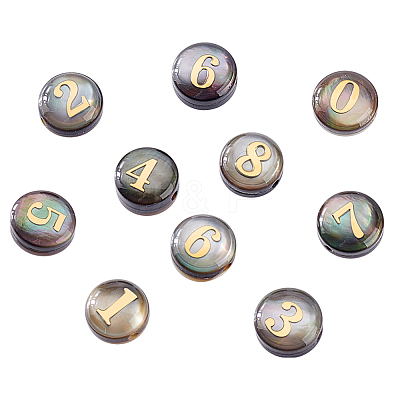 10Pcs 10 Styles Natural Black Lip Shell Flat Round Beads BSHE-PH0001-61-1