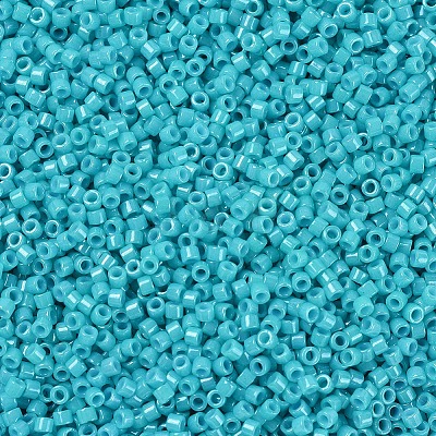 MIYUKI Delica Beads X-SEED-J020-DB0658-1