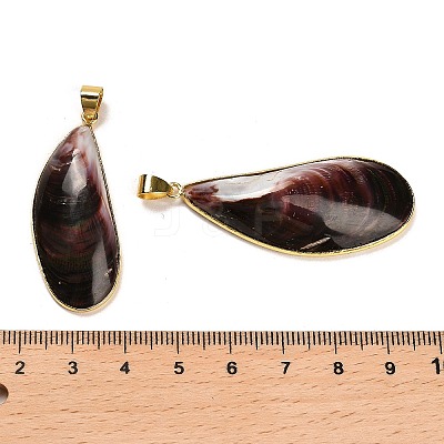 Natural Shell Pendants SHEL-D080-01G-1