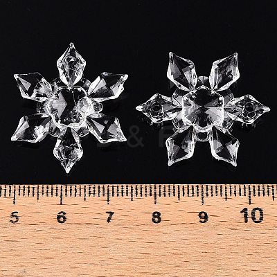 Transparent Acrylic Connector Charms TACR-T028-03B-1