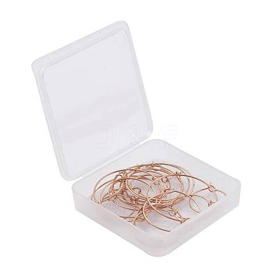 30Pcs 5 Size 316L Surgical Stainless Steel Hoop Earring Findings STAS-ZZ0001-03G-1