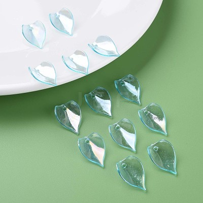 Transparent Acrylic Beads MACR-S373-103-C03-1