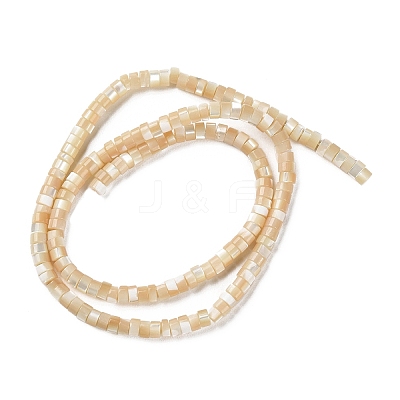 Natural Trochus Shell Beads Strands BSHE-E030-09B-02-1