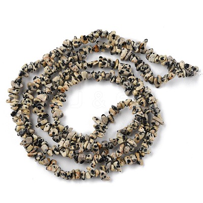 Natural Dalmatian Jasper Beads Strands G-G0003-B29-1