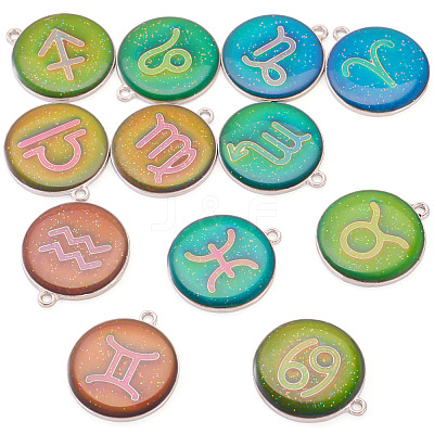 12Pcs 12 Constellations Epoxy Resin Pendants FIND-TAC0027-38-1